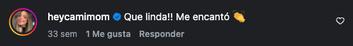 Comentario en Instagram de heycamimom: Que linda!! Me encantó